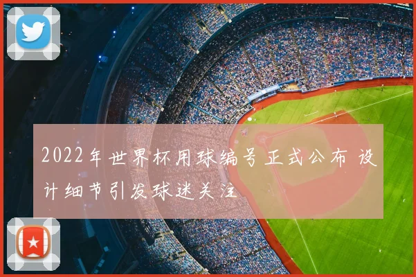 2022年世界杯用球编号正式公布 设计细节引发球迷关注