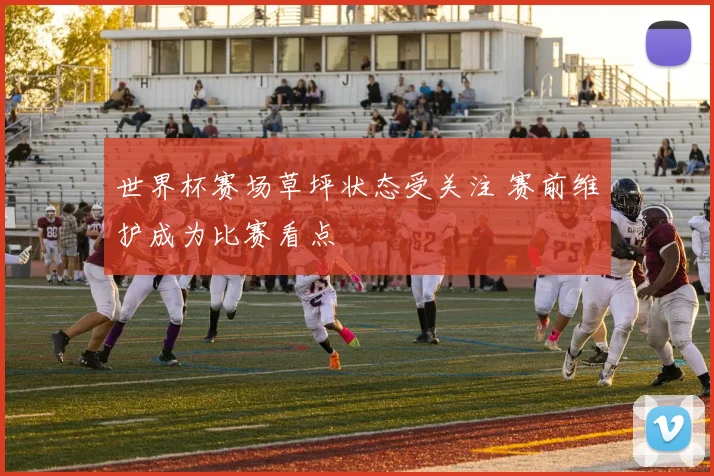 世界杯赛场草坪状态受关注 赛前维护成为比赛看点