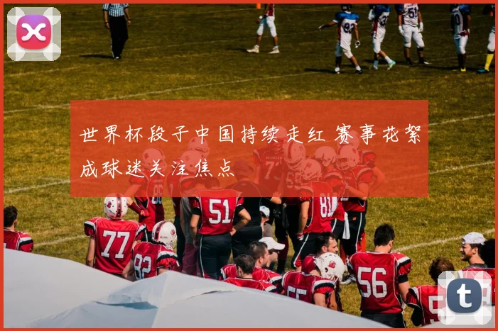 世界杯段子中国持续走红 赛事花絮成球迷关注焦点