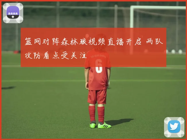 篮网对阵森林狼视频直播开启 两队攻防看点受关注