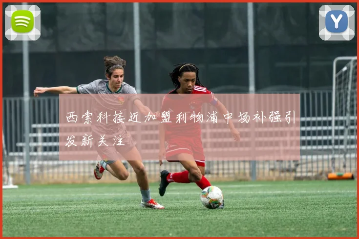 西索科接近加盟利物浦中场补强引发新关注