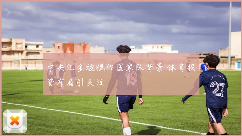 中央汇金被视作国家队背景 体育投资布局引关注