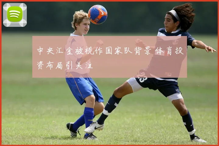 中央汇金被视作国家队背景 体育投资布局引关注